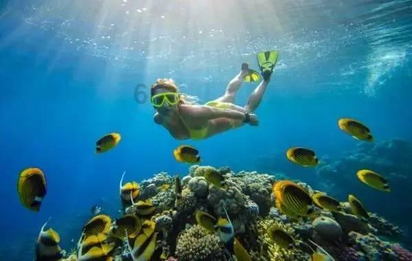 如何准确判断受孕情况?可丽蓝早早孕测试笔为你精准检测